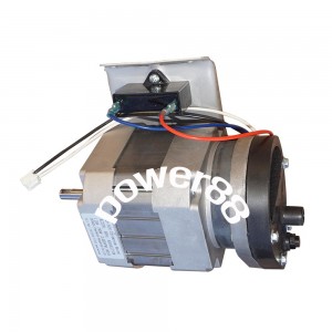 ��ǰ ������